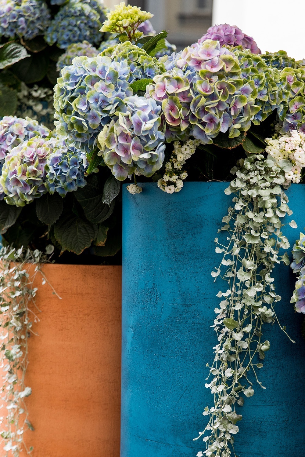 ЦИЛИНДР Ред клэй