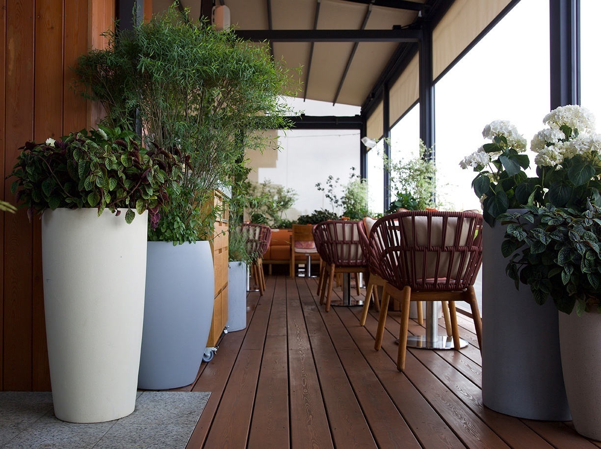 КОНУС Сахара