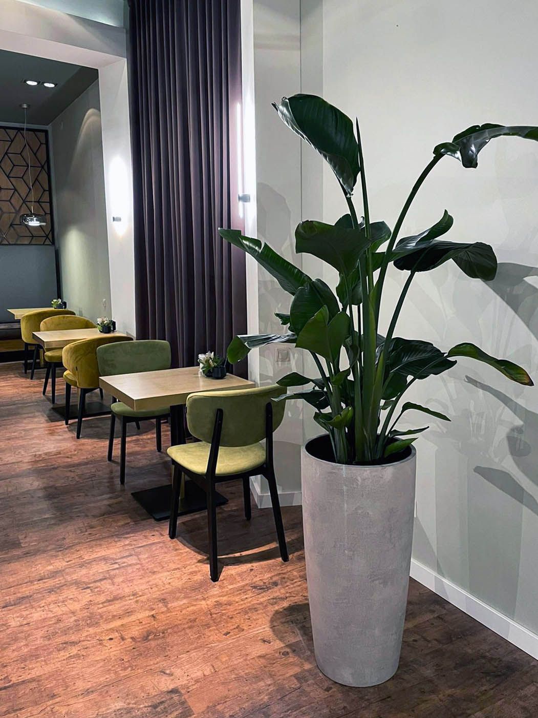 Conus concrete white