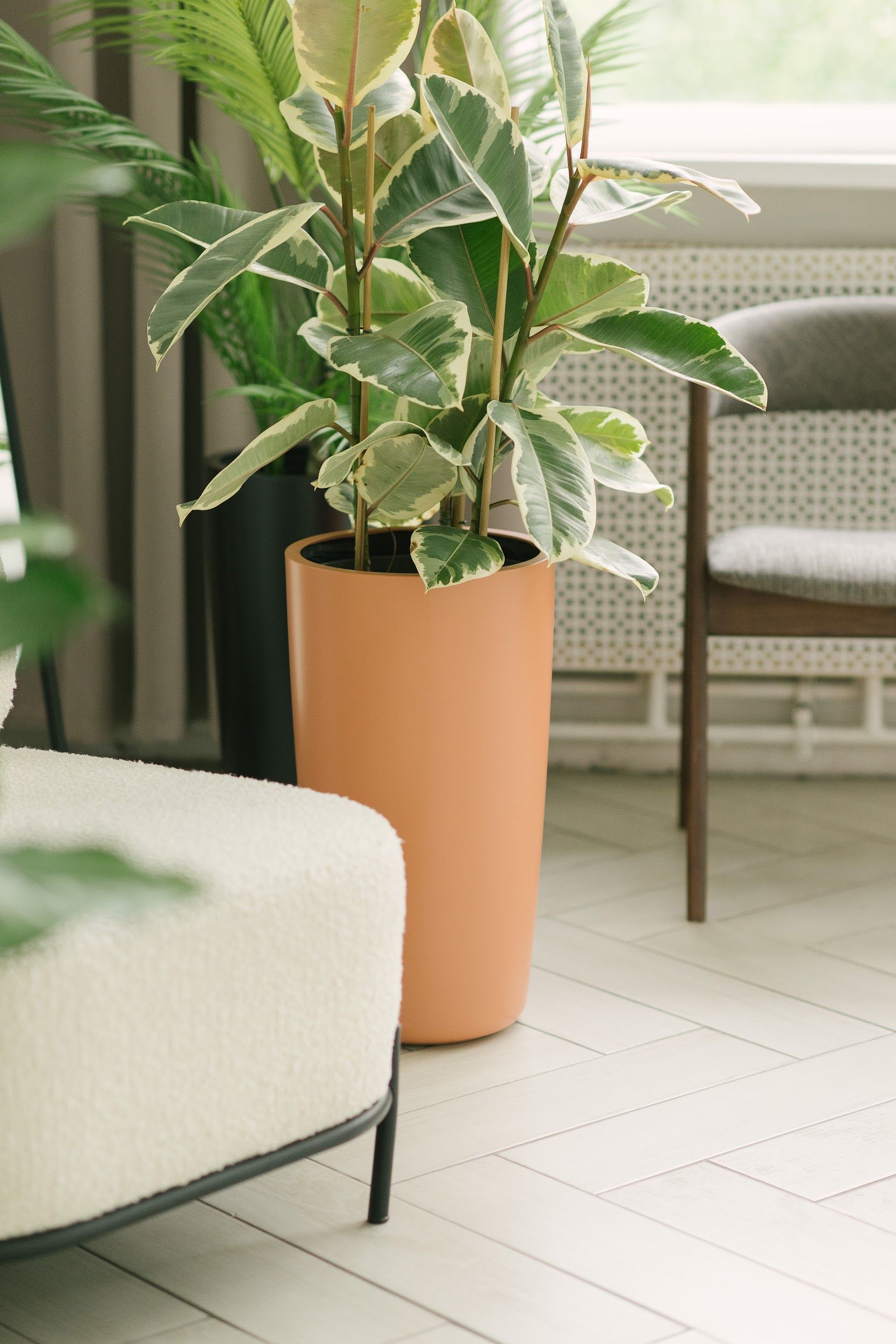 Conus makeup red 3012