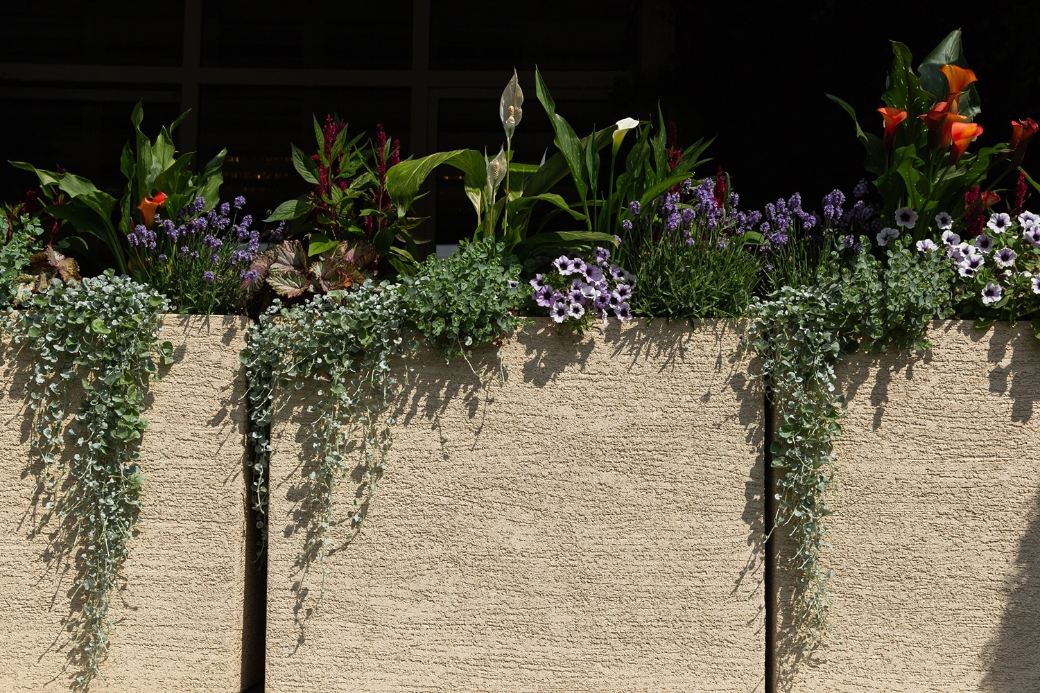 ДИВАЙДЕР Эрозия Желтый