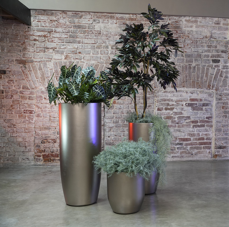 ЙАР Шампань