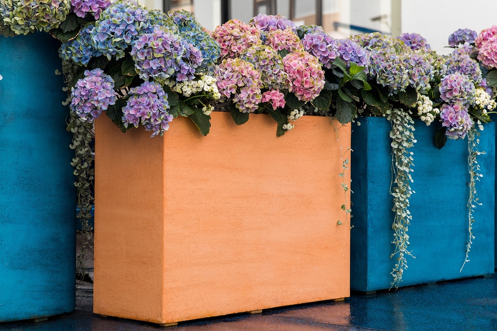 ДИВАЙДЕР Кобальт блю