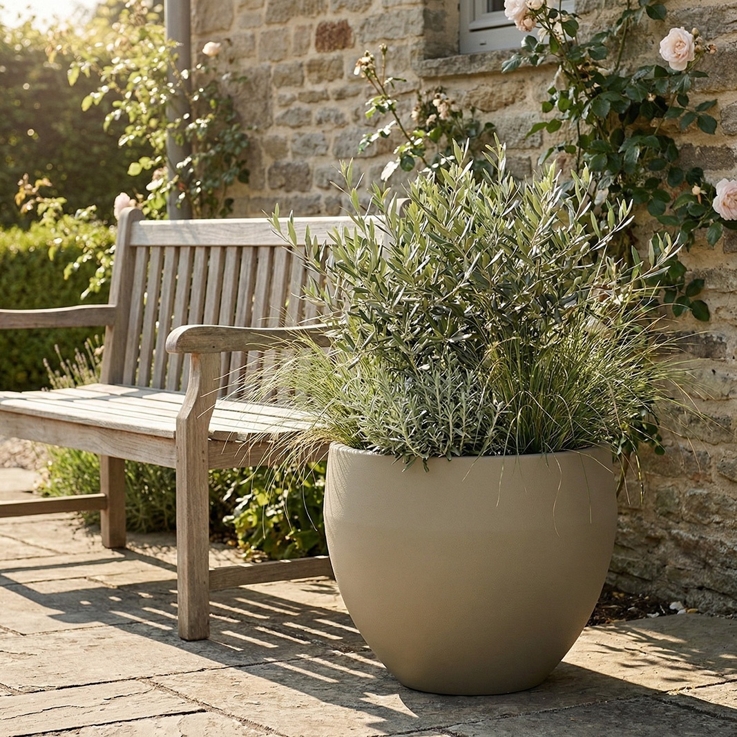 ГИРА Имбирный 1019