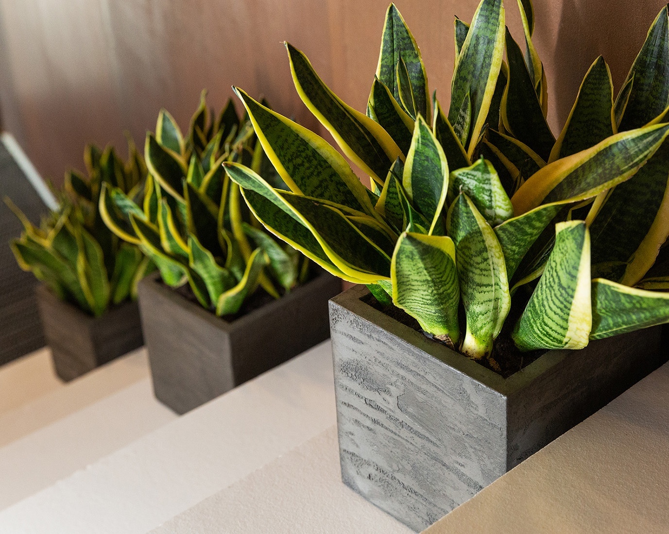 КУБ Брезент грей