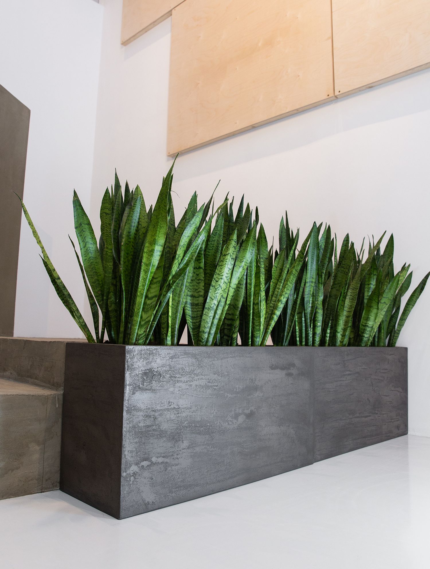 Divider brezent grey