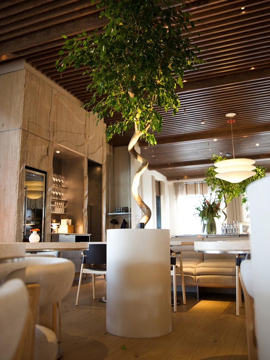 ЦИЛИНДР Сахара