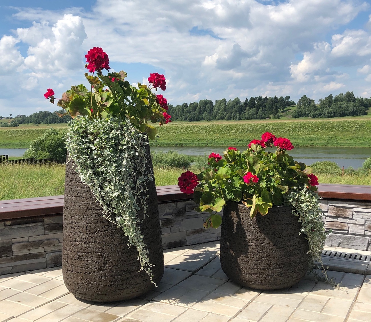 КОНЕ Эрозия Коричневый