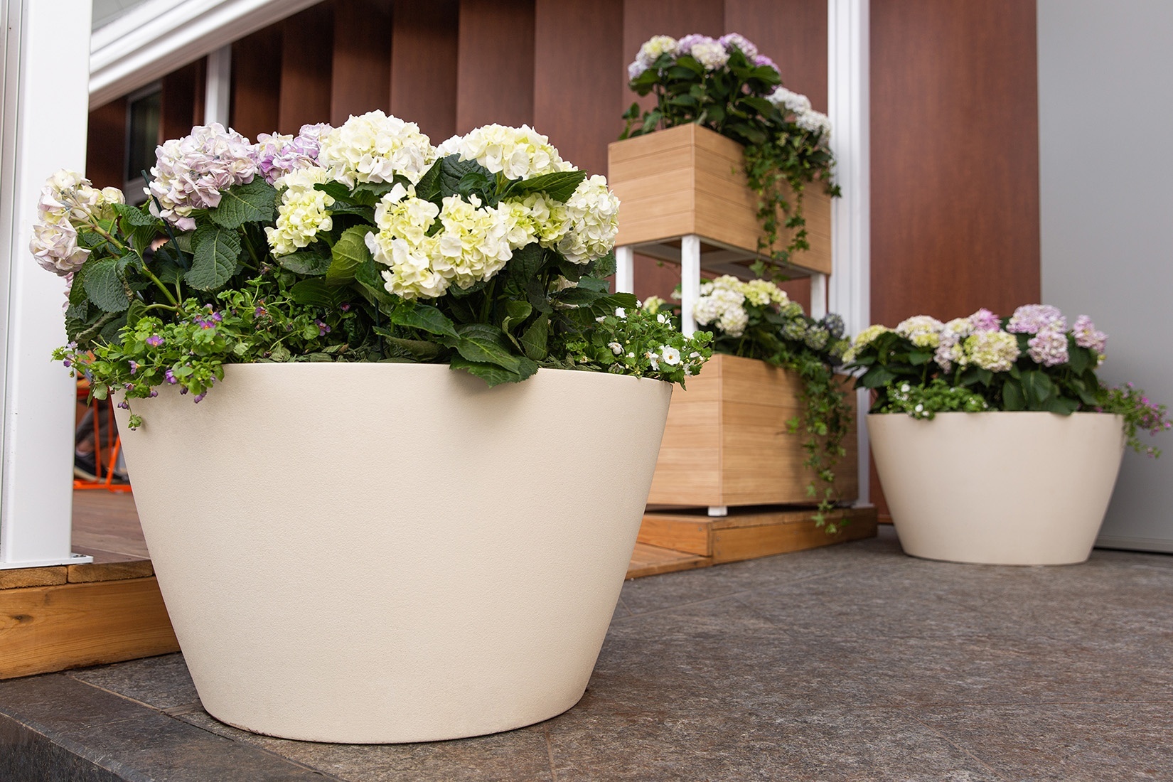 БОУЛ Сахара