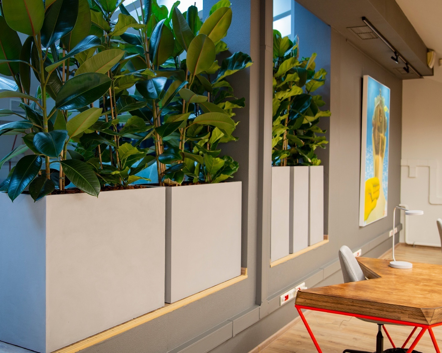 ДИВАЙДЕР Шале