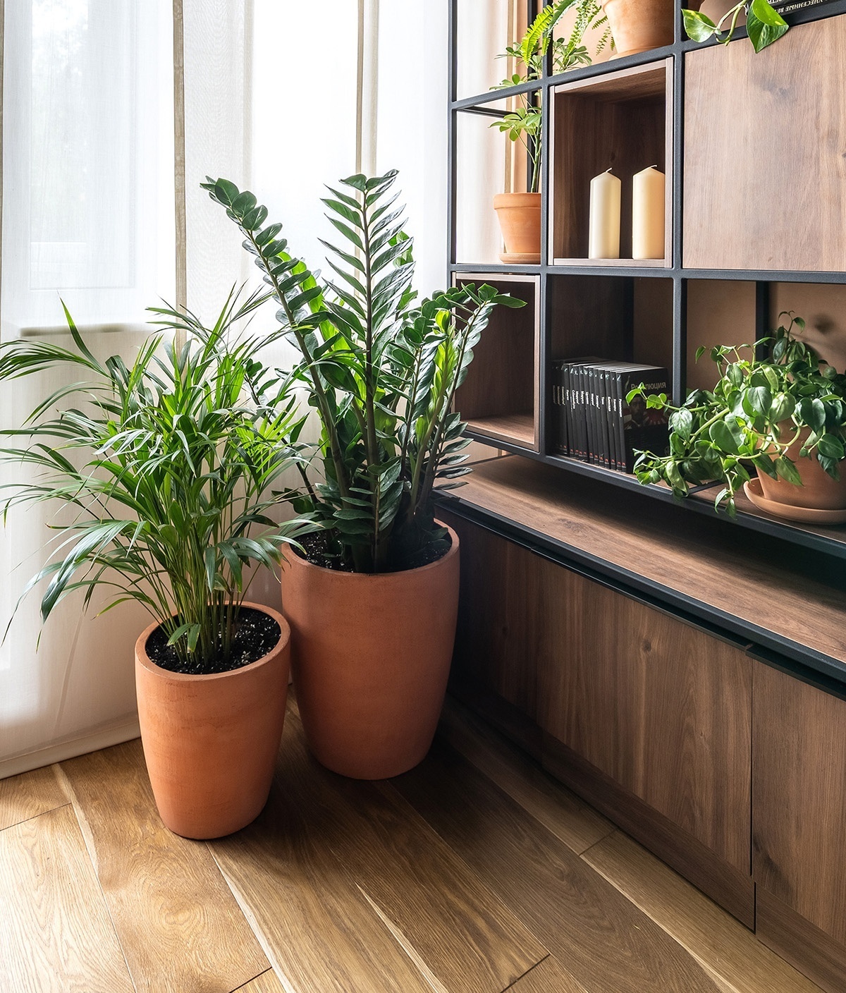 ВЕЙС Ред клэй