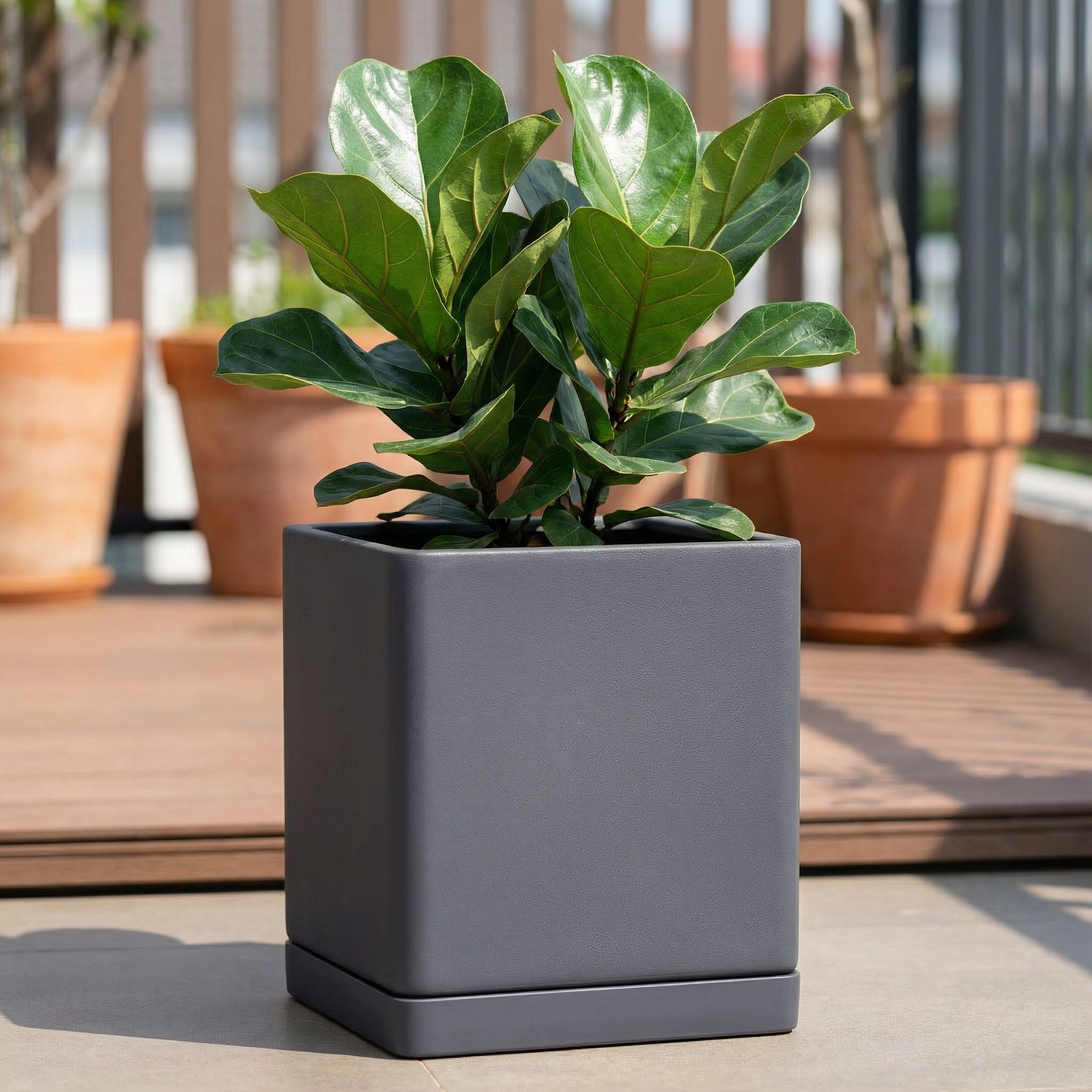 ПОДДОН квадро Маренго