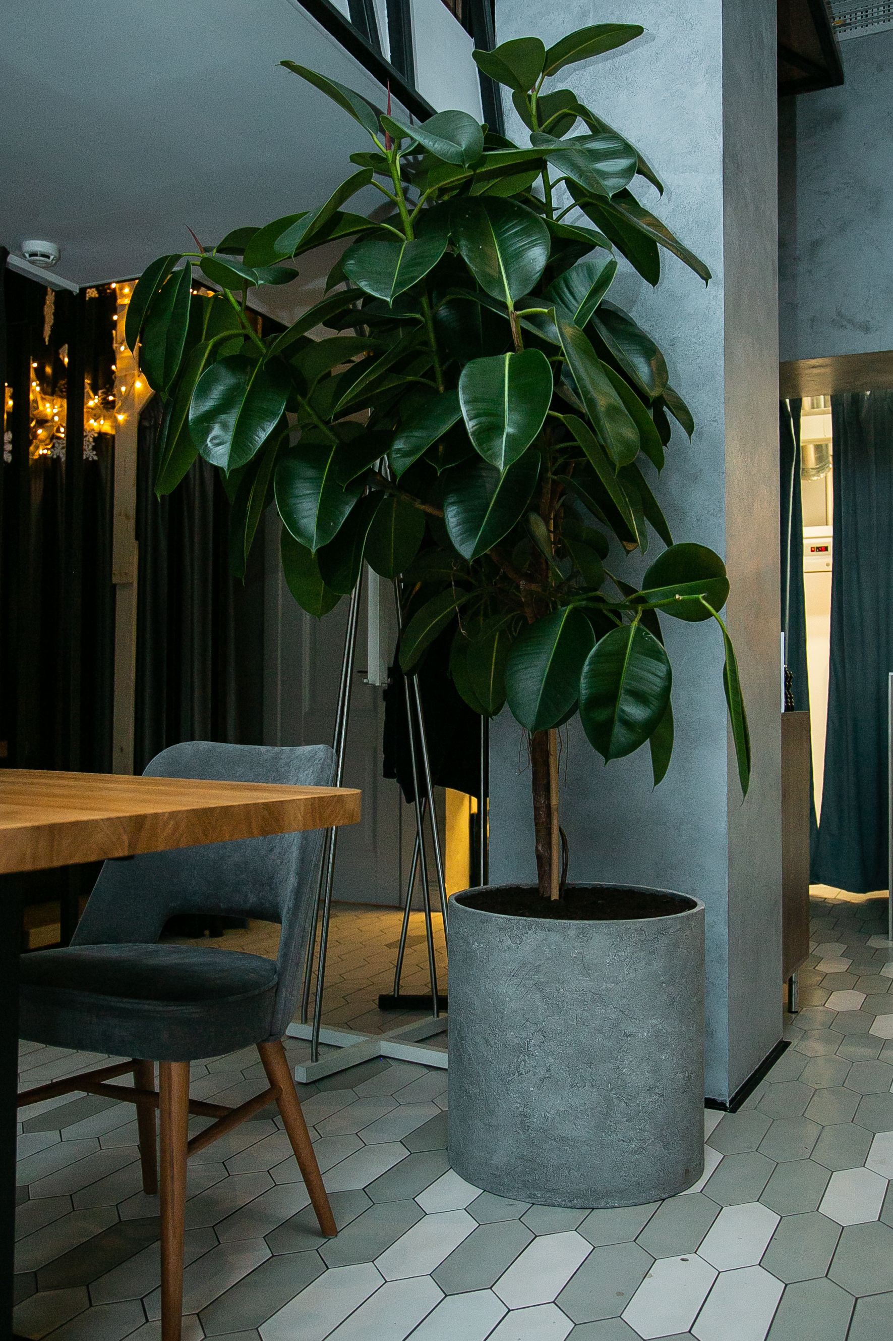 Cylinder concrete m100