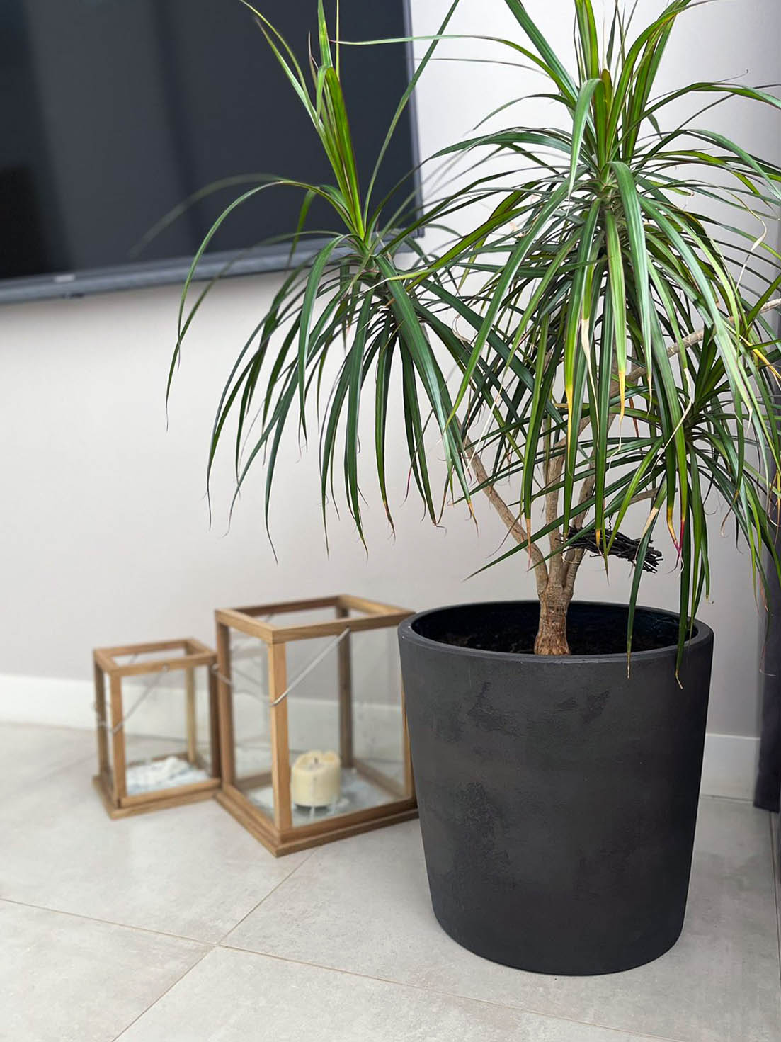 СВОД Антрацит