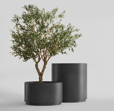 Кашпо CONCRETIKA CYLINDER XL NERO D120H120 заказать и купить Кашпо CONCRETIKA CYLINDER XL NERO D120H120 заказать и купить по цене 134 190 руб ниже рынка от производителя с доставкой.