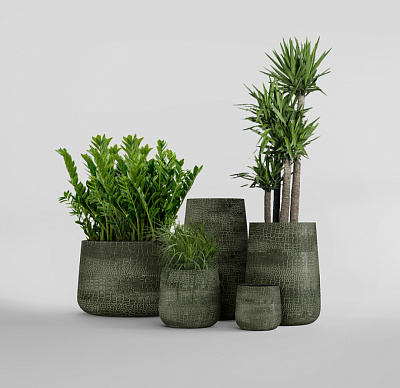Кашпо CONCRETIKA CONE CAYMAN GREEN D50H54 заказать и купить по цене 27 570 руб ниже рынка от производителя с доставкой.