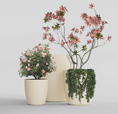 Кашпо CONCRETIKA VASE 3 SAHARA D90H95 заказать и купить Кашпо CONCRETIKA VASE 3 SAHARA D90H95 заказать и купить по цене 77 840 руб ниже рынка от производителя с доставкой.