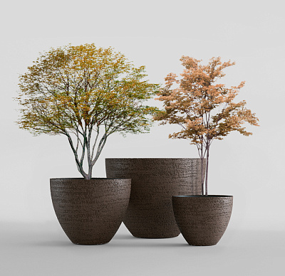 Кашпо CONCRETIKA UPON EROSIA BROWN D75H65 заказать и купить Кашпо CONCRETIKA UPON EROSIA BROWN D75H65 заказать и купить по цене 36 980 руб ниже рынка от производителя с доставкой.