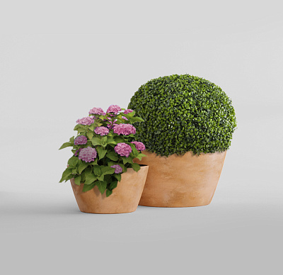 Кашпо CONCRETIKA BOWL CLASSIC CLAY D65H36 заказать и купить Кашпо CONCRETIKA BOWL CLASSIC CLAY D65H36 заказать и купить по цене 18 800 руб ниже рынка от производителя с доставкой.