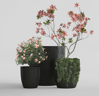 Кашпо CONCRETIKA VASE 3 EGG BLACK D60H65 заказать и купить Кашпо CONCRETIKA VASE 3 EGG BLACK D60H65 заказать и купить по цене 34 050 руб ниже рынка от производителя с доставкой.