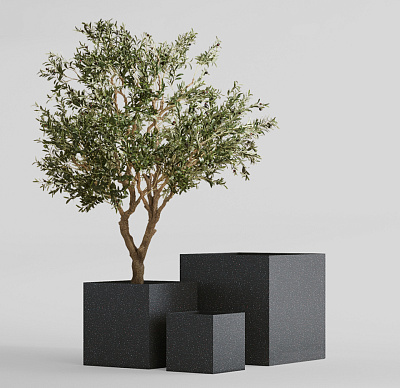 Кашпо CONCRETIKA CUBE EGG BLACK 100x100x100 заказать и купить Кашпо CONCRETIKA CUBE EGG BLACK 100x100x100 заказать и купить по цене 113 100 руб ниже рынка от производителя с доставкой.