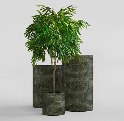 Кашпо CONCRETIKA CYLINDER CAYMAN GREEN D30H60 заказать и купить по цене 16 330 руб ниже рынка от производителя с доставкой.