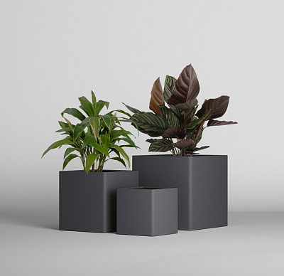 Кашпо CONCRETIKA QADRO MARENGO 40x40x40 заказать и купить Кашпо CONCRETIKA QADRO MARENGO 40x40x40 заказать и купить по цене 13 650 руб ниже рынка от производителя с доставкой.