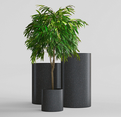 Кашпо CONCRETIKA CYLINDER EGG BLACK D25H25 заказать и купить Кашпо CONCRETIKA CYLINDER EGG BLACK D25H25 заказать и купить по цене 5 540 руб ниже рынка от производителя с доставкой.