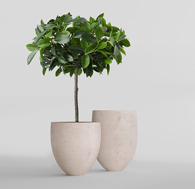 Кашпо CONCRETIKA BARREL CONCRETE WHITE D41H60 заказать и купить Кашпо CONCRETIKA BARREL CONCRETE WHITE D41H60 заказать и купить по цене 22 620 руб ниже рынка от производителя с доставкой.
