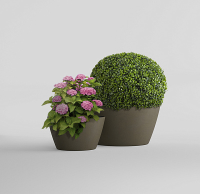 Кашпо CONCRETIKA BOWL OLIVE D52H29 заказать и купить по цене 11 090 руб ниже рынка от производителя с доставкой.