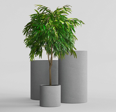 Кашпо CONCRETIKA CYLINDER LONDON GREY D45H80 заказать и купить Кашпо CONCRETIKA CYLINDER LONDON GREY D45H80 заказать и купить по цене 28 830 руб ниже рынка от производителя с доставкой.