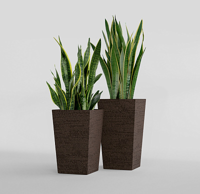 Кашпо CONCRETIKA CONIC EROSIA BROWN 30x30x50 заказать и купить Кашпо CONCRETIKA CONIC EROSIA BROWN 30x30x50 заказать и купить по цене 15 300 руб ниже рынка от производителя с доставкой.