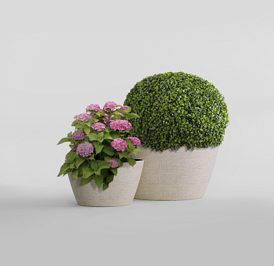 Кашпо CONCRETIKA BOWL EROSIA YELLOW D52H29 заказать и купить Кашпо CONCRETIKA BOWL EROSIA YELLOW D52H29 заказать и купить по цене 12 760 руб ниже рынка от производителя с доставкой.
