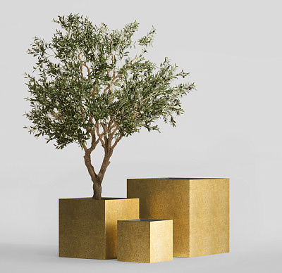 Кашпо CONCRETIKA CUBE RICH GOLD 30x30x30 заказать и купить Кашпо CONCRETIKA CUBE RICH GOLD 30x30x30 заказать и купить по цене 11 480 руб ниже рынка от производителя с доставкой.