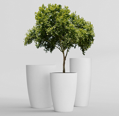 Кашпо CONCRETIKA CONUS SANTORINI D60H170 заказать и купить Кашпо CONCRETIKA CONUS SANTORINI D60H170 заказать и купить по цене 133 060 руб ниже рынка от производителя с доставкой.