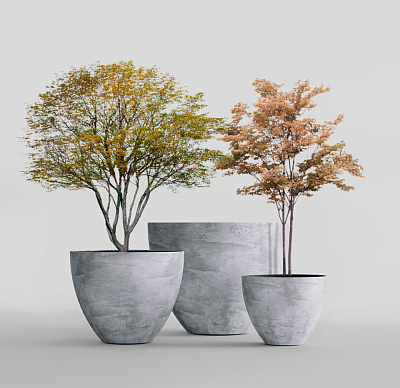 Кашпо CONCRETIKA UPON CONCRETE GREY LIGHT D55H45 заказать и купить Кашпо CONCRETIKA UPON CONCRETE GREY LIGHT D55H45 заказать и купить по цене 19 960 руб ниже рынка от производителя с доставкой.