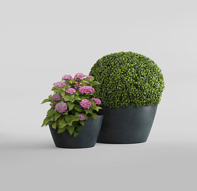 Кашпо CONCRETIKA BOWL ANTHRACITE D80H45 заказать и купить Кашпо CONCRETIKA BOWL ANTHRACITE D80H45 заказать и купить по цене 34 600 руб ниже рынка от производителя с доставкой.