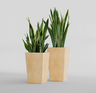 Кашпо CONCRETIKA CONIC LEMON 30x30x50 заказать и купить Кашпо CONCRETIKA CONIC LEMON 30x30x50 заказать и купить по цене 15 040 руб ниже рынка от производителя с доставкой.