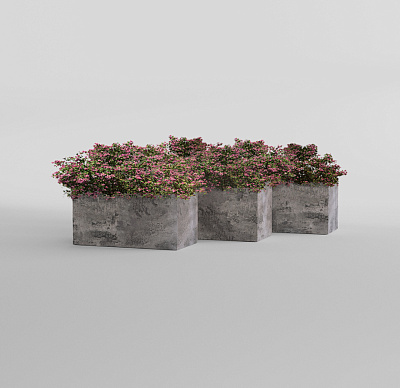 Кашпо CONCRETIKA BALCONY CONCRETE GREY DARK 80x20x15 заказать и купить Кашпо CONCRETIKA BALCONY CONCRETE GREY DARK 80x20x15 заказать и купить по цене 13 310 руб ниже рынка от производителя с доставкой.