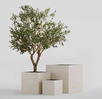 Кашпо CONCRETIKA CUBE EROSIA YELLOW 40x40x40 заказать и купить Кашпо CONCRETIKA CUBE EROSIA YELLOW 40x40x40 заказать и купить по цене 16 730 руб ниже рынка от производителя с доставкой.