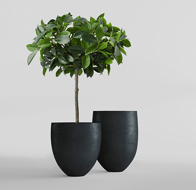 Кашпо CONCRETIKA BARREL ANTHRACITE D41H60 заказать и купить Кашпо CONCRETIKA BARREL ANTHRACITE D41H60 заказать и купить по цене 22 620 руб ниже рынка от производителя с доставкой.