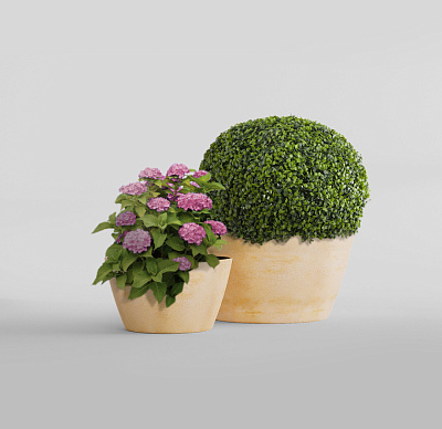 Кашпо CONCRETIKA BOWL LEMON D52H29 заказать и купить по цене 12 530 руб ниже рынка от производителя с доставкой.