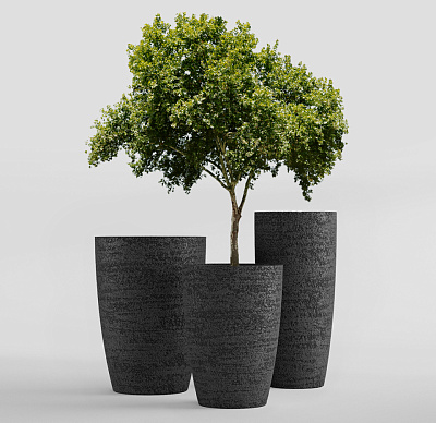 Кашпо CONCRETIKA CONUS EROSIA BLACK D60H130 заказать и купить Кашпо CONCRETIKA CONUS EROSIA BLACK D60H130 заказать и купить по цене 91 810 руб ниже рынка от производителя с доставкой.