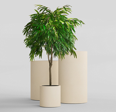 Кашпо CONCRETIKA CYLINDER SAHARA D25H25 заказать и купить Кашпо CONCRETIKA CYLINDER SAHARA D25H25 заказать и купить по цене 5 540 руб ниже рынка от производителя с доставкой.
