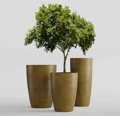 Кашпо CONCRETIKA CONUS AVOCADO D48H60 заказать и купить Кашпо CONCRETIKA CONUS AVOCADO D48H60 заказать и купить по цене 23 800 руб ниже рынка от производителя с доставкой.