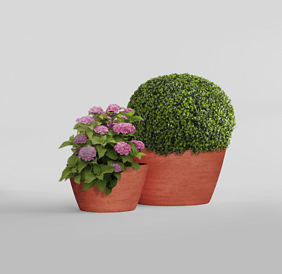 Кашпо CONCRETIKA BOWL CANDY D65H36 заказать и купить Кашпо CONCRETIKA BOWL CANDY D65H36 заказать и купить по цене 18 800 руб ниже рынка от производителя с доставкой.