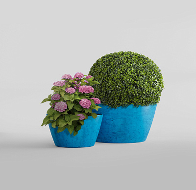 Кашпо CONCRETIKA BOWL COBALT BLUE D52H29 заказать и купить по цене 12 530 руб ниже рынка от производителя с доставкой.