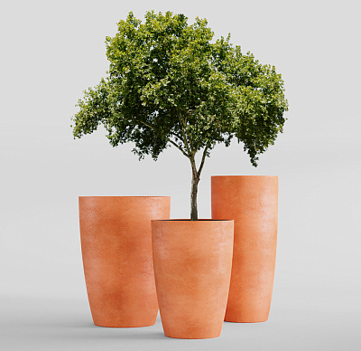 Кашпо CONCRETIKA CONUS RED CLAY D50H90 заказать и купить Кашпо CONCRETIKA CONUS RED CLAY D50H90 заказать и купить по цене 35 580 руб ниже рынка от производителя с доставкой.
