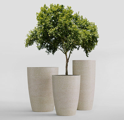 Кашпо CONCRETIKA CONUS EROSIA YELLOW D40H80 заказать и купить Кашпо CONCRETIKA CONUS EROSIA YELLOW D40H80 заказать и купить по цене 22 950 руб ниже рынка от производителя с доставкой.
