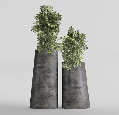 Кашпо CONCRETIKA DUET CONCRETE GREY DARK D41H82 заказать и купить Кашпо CONCRETIKA DUET CONCRETE GREY DARK D41H82 заказать и купить по цене 34 600 руб ниже рынка от производителя с доставкой.
